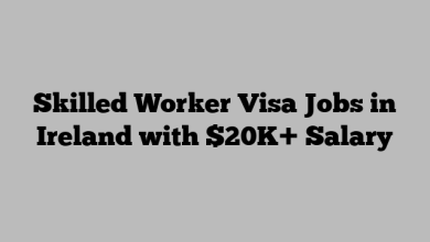 Skilled Worker Visa Jobs in Ireland with $20K+ Salary